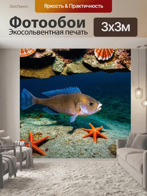 Фотообои с рыбкой, уютно расположившейся среди камней и ракушек на дне морского залива, с морскими звездами и другими…