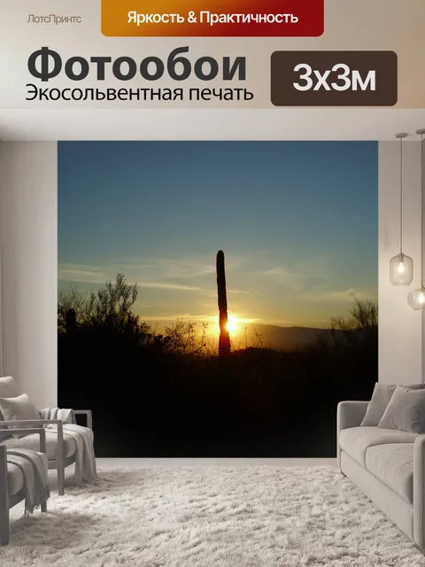 Фотообои Tucson восхода 2012