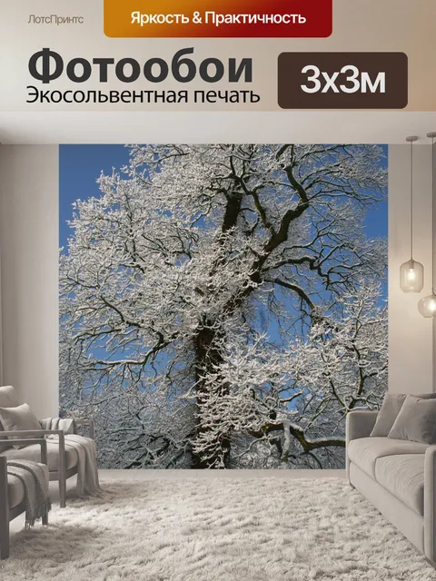Фотообои Мороз