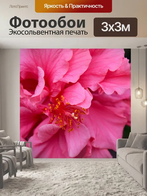 Фотообои Гибискус