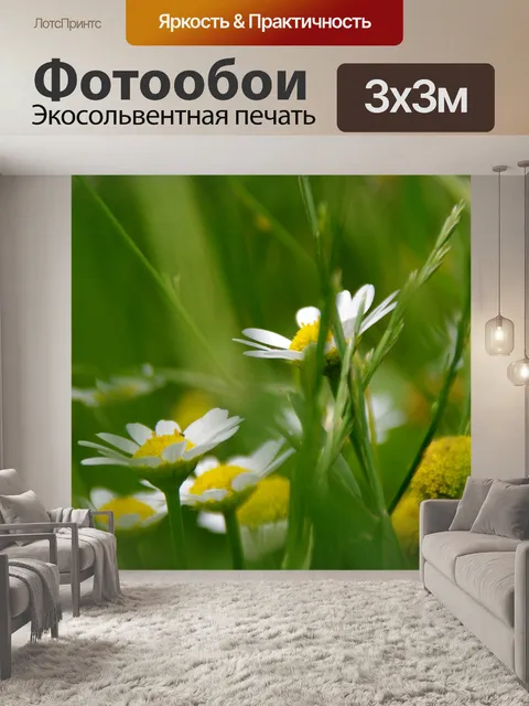 Фотообои Ромашки, спрятанные между травами
