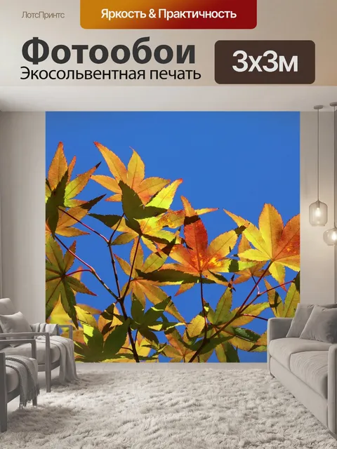 Фотообои Осенние листья
