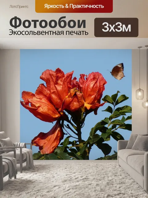 Фотообои Тюльпанное дерево