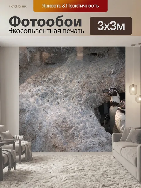 Фотообои Зоопарк
