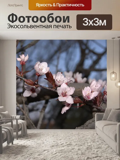 Фотообои Розовый