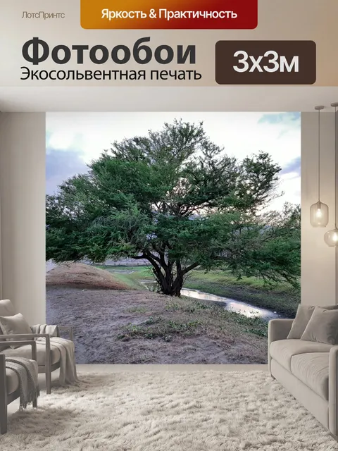 Фотообои Дерево