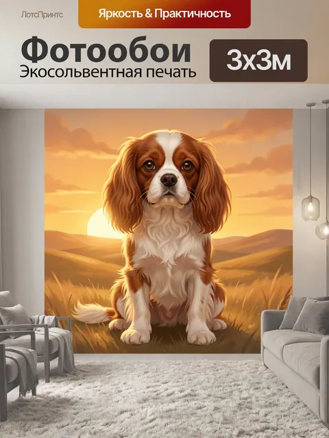 Фотообои Спаниель на закате в поле