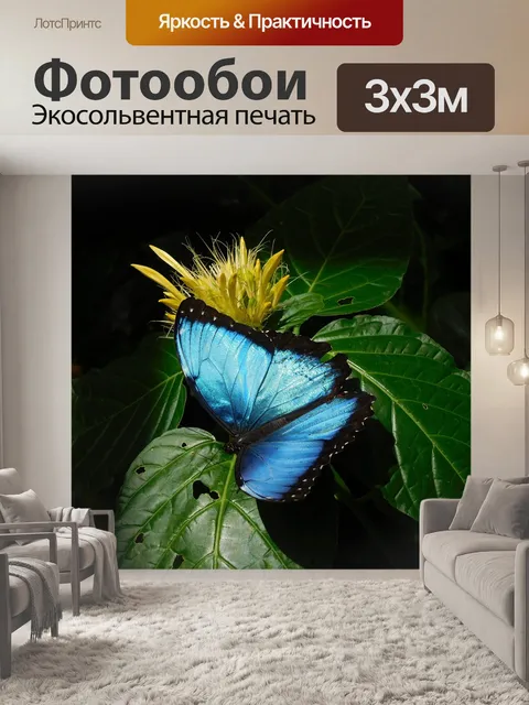 Фотообои Небо бабочка