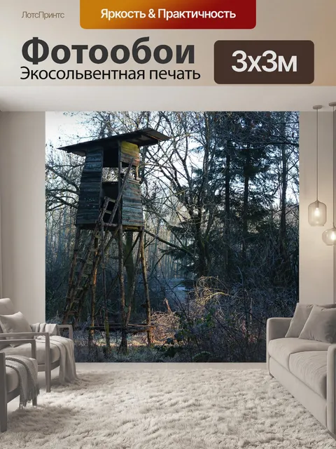 Фотообои Высоко стояло в зимнее утро