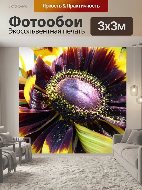 Фотообои Крупным планом подсолнечника