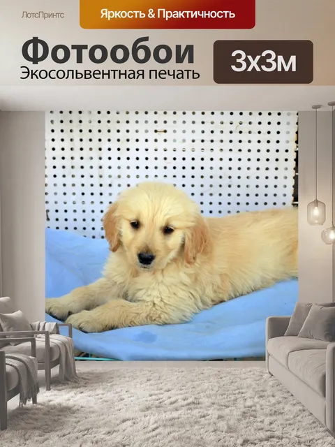 Фотообои Смешанные щенок породы