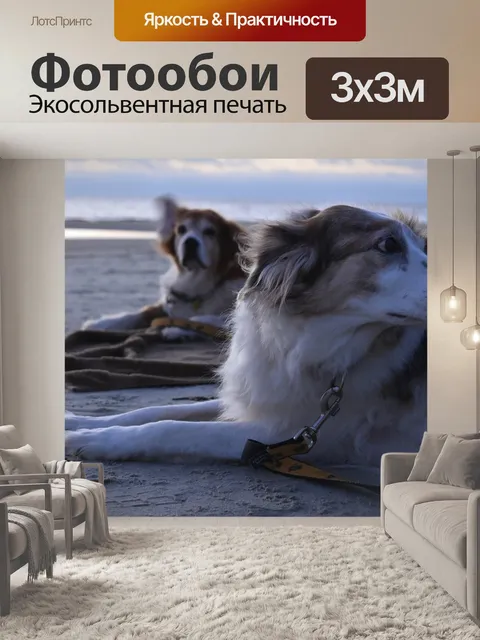 Фотообои Собаки