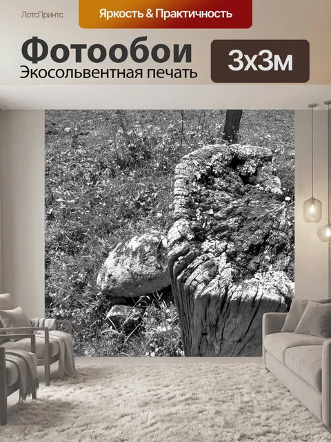 Фотообои Напиток