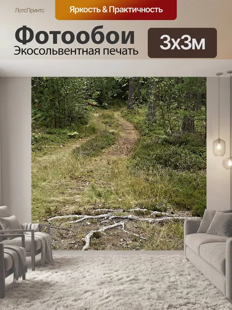 Фотообои Лесная дорога