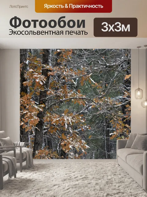 Фотообои Дуб Отрасли снегом