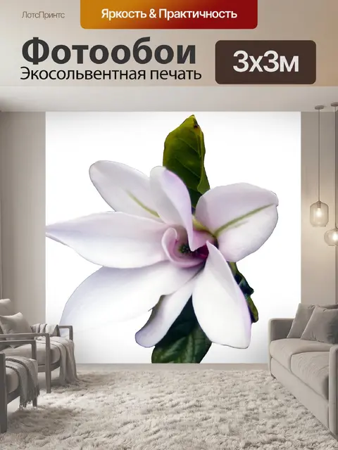 Фотообои Магнолия