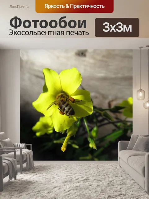 Фотообои Bee