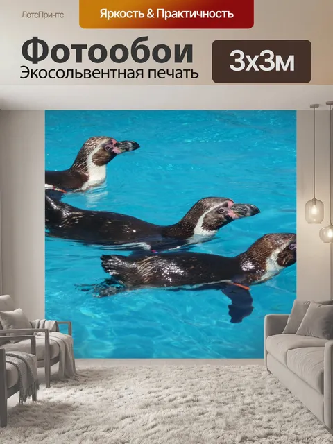 Фотообои Животное