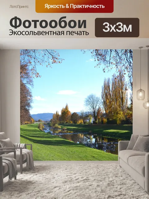 Фотообои Черный лес