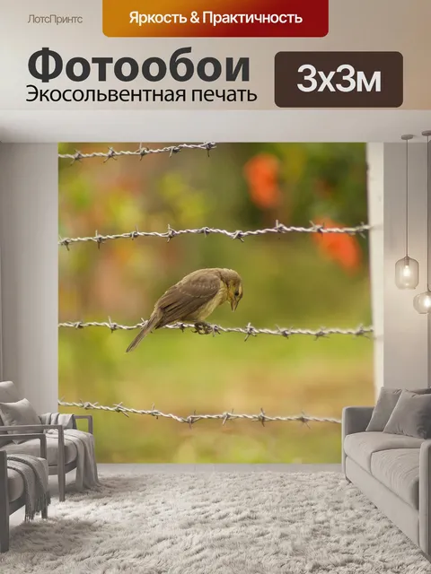 Фотообои Птицы