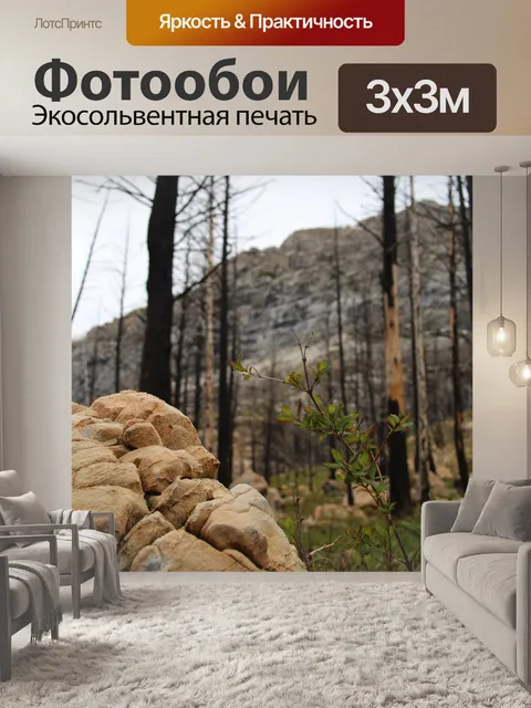 Фотообои Тан рок в горах