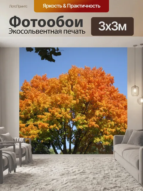 Фотообои Красный
