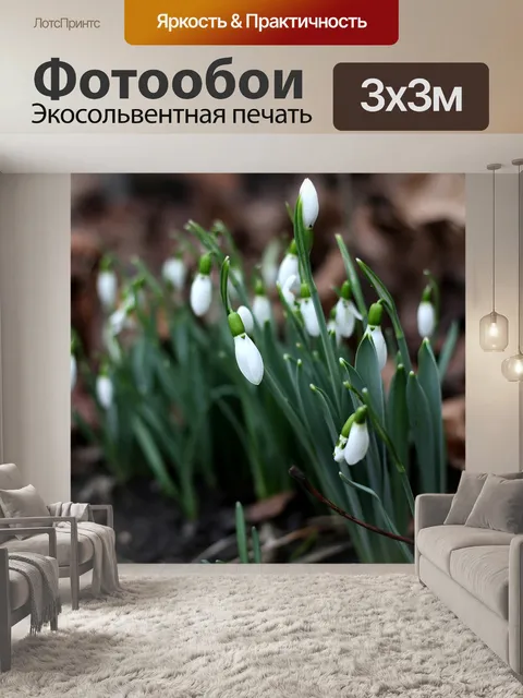 Фотообои Галантус