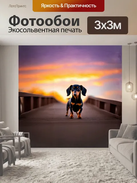 Фотообои щенок таксы, стоящий на мосту, любуясь закатом