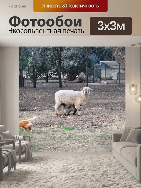 Фотообои Поле