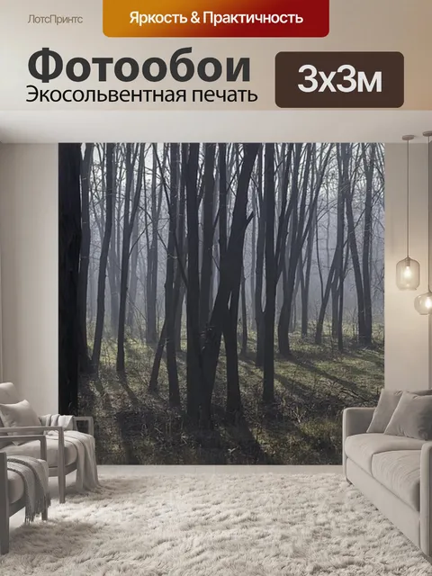 Фотообои Темный