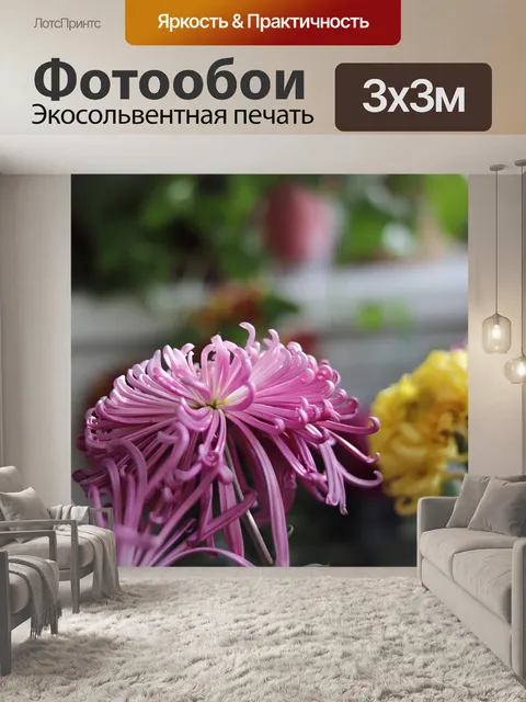 Фотообои Фиолетовый дейзи