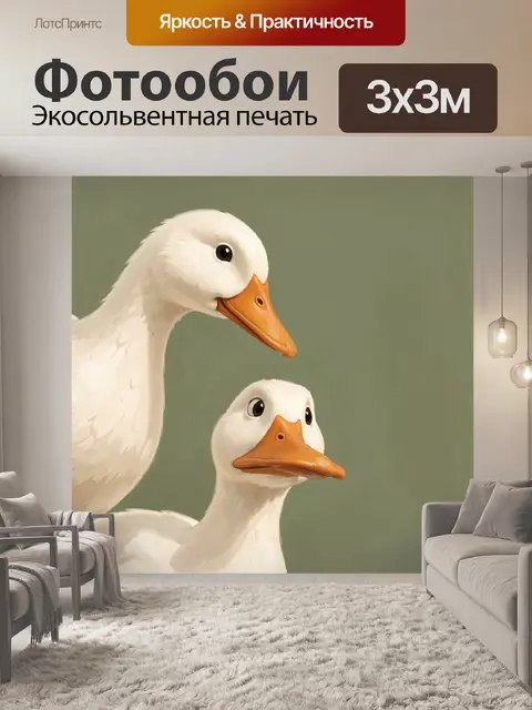 Фотообои Две белые утки вблизи