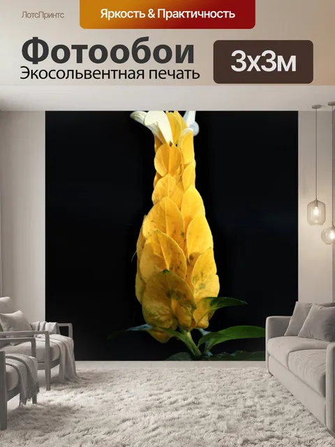 Фотообои Золотой цветок креветки на черном