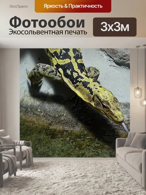 Фотообои Животное