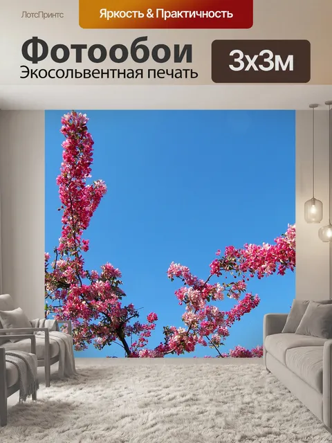 Фотообои Расцветает