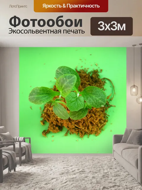Фотообои Молодое дерево