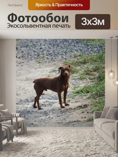Фотообои Талисман