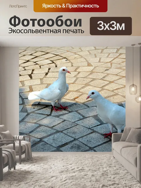 Фотообои Белые голуби