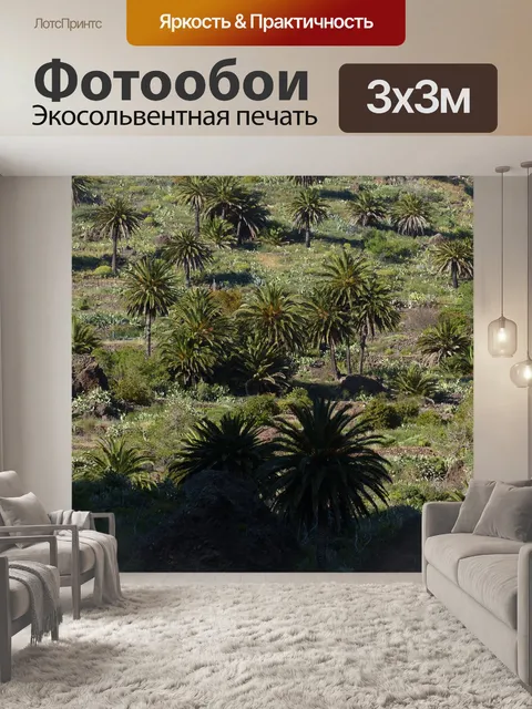 Фотообои Пальмы