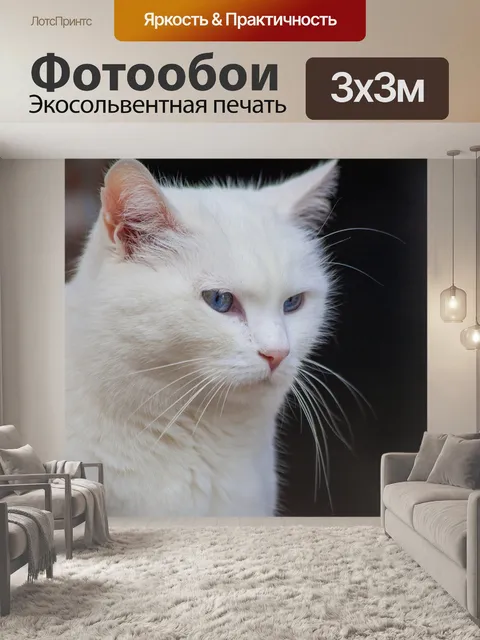 Фотообои Белый кот