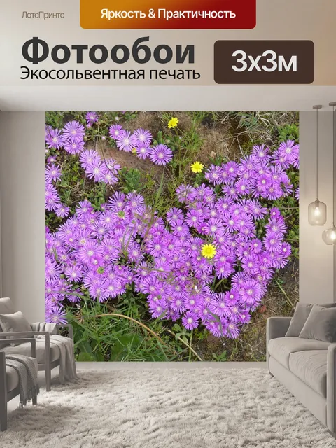 Фотообои Южная африка