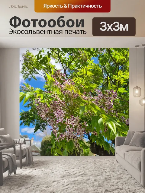 Фотообои Цветы персидской сирени