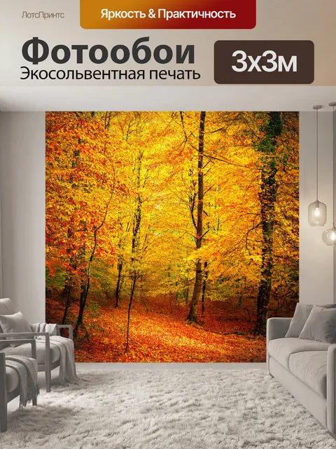 Фотообои лес в осенний период, покрытый красочными листьями, с густым ковром из желтых и оранжевых растений