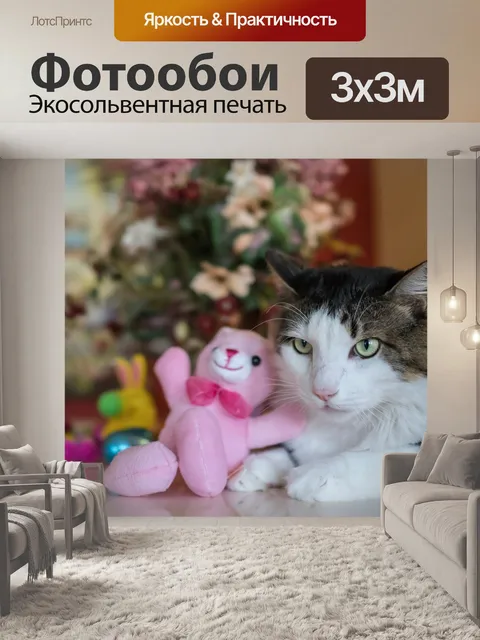 Фотообои Мейн кун