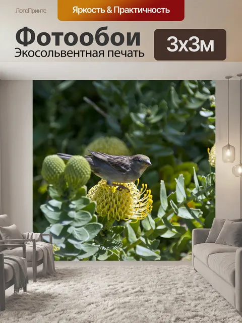 Фотообои Птица на желтом цветке