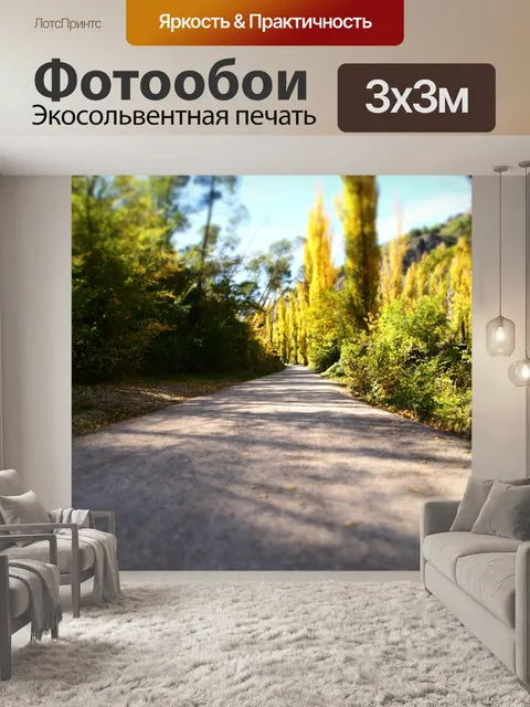 Фотообои Путь