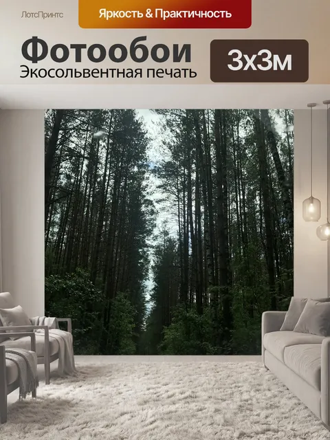 Фотообои Лес
