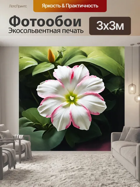 Фотообои белый цветок с розовыми краями