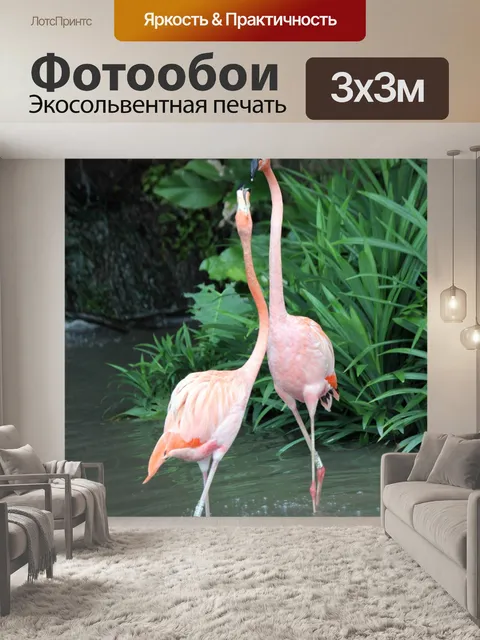 Фотообои фламинго вместе ходить