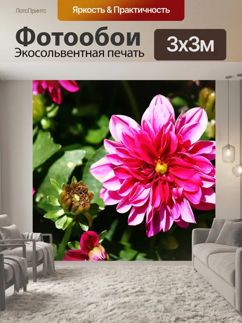 Фотообои Цветок